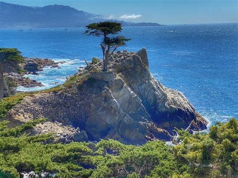 Big Sur Adventures (Pacific Grove) - 2022 What to Know Before You Go ...