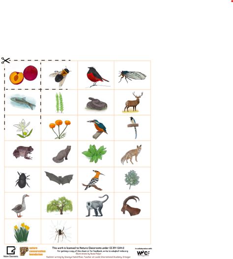 Alphabet Chart Cut-Outs