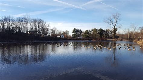 DESMOND'S POND - All You Need to Know BEFORE You Go 2026 (with Photos ...