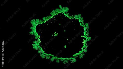 Image result for Microscopy Crystallization
