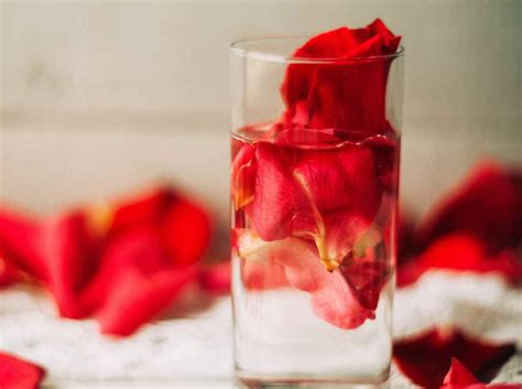 Rose Water - A Must-Have Ingredient In Your Haircare Regime!