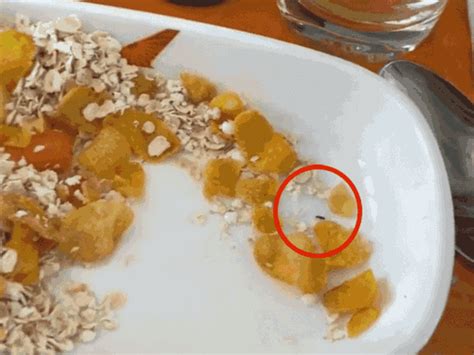 Air India Food Controversy: Chef Sanjeev Kapoor On Meal Insect | એર ...