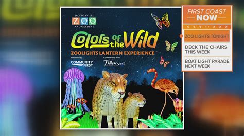 Jacksonville Zoo & Gardens set to kick off 'one of the largest Asian ...