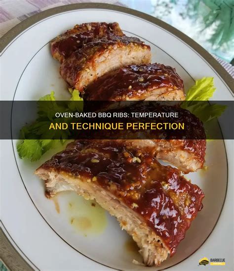 Oven-Baked Bbq Ribs: Temperature And Technique Perfection | ShunGrill