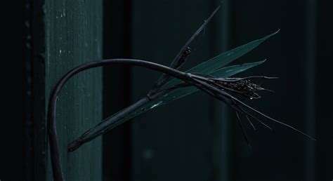 Transparency Decision-Making → Term