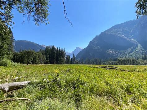 YOSEMITE VALLEY FLOOR TOUR (2025) All You Need to Know BEFORE You Go ...