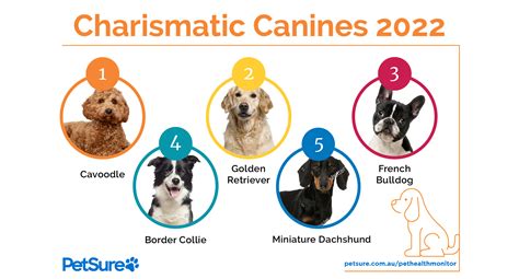 Top Ten Most Popular Dog Breeds 2025