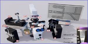 Image result for Single Cell Barcoding