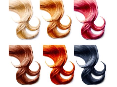 Explanation — lesson. English Language CBSE, Class 10.