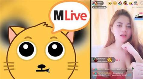 MLive Apk 的图像结果