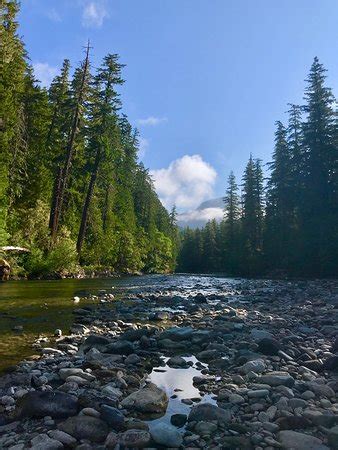 Gifford Pinchot National Forest (Washington) - 2019 What to Know Before ...