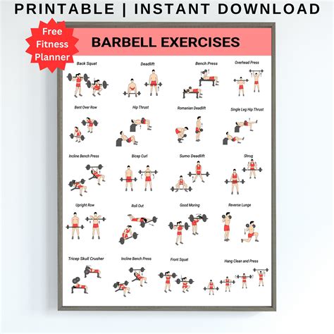Image result for Exercise Spring Bar Workout Chart