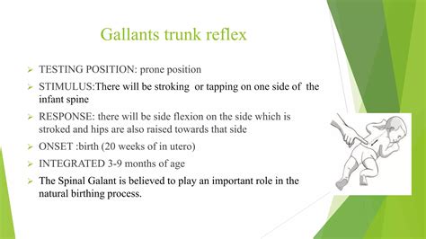 Spinal Galant Reflex