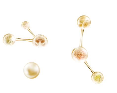 粒子 的图像结果