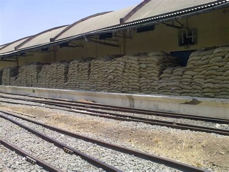 Cabinet approves increase in authorised capital of FCI to Rs 10,000 crore