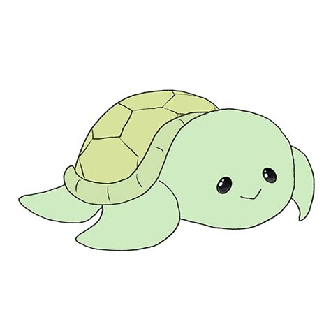 Image result for Simple Turtle Drawing