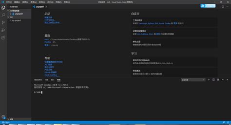 Module Not Found NPM vs Code 的图像结果