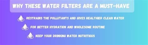 riveric Wall Mount Outer Fit Housing Bowl (12") with Pre Filter/Spun ...