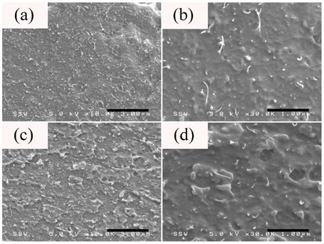 Effect of Hybrid Carbon Fillers on the Electrical and Morphological ...