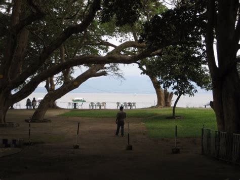 MIDROC ZEWED VILLAGE (Awasa) - Lodge Reviews & Photos - Tripadvisor