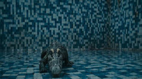 Tu Yaa Main ending explained: Whom does crocodile kill in climax – Aala ...