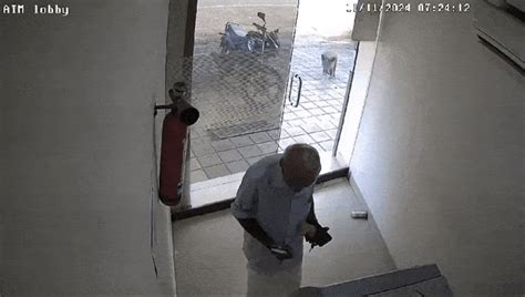 Watch: Kerala man escapes unhurt as pig storms into ATM, shatters glass ...