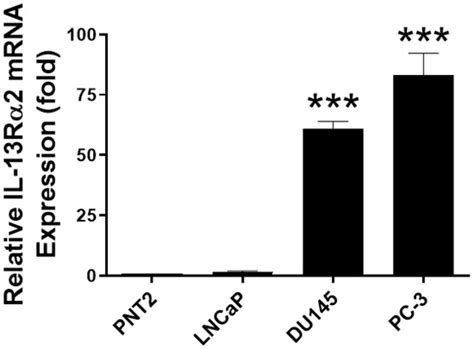 Targeting of the Interleukin-13 Receptor (IL-13R)α2 Expressing Prostate ...