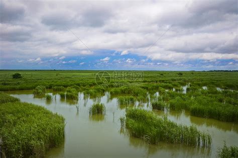 盐城大洋湾湿地风景区高清图片下载-正版图片501574843-摄图网
