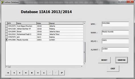 Delphi Database 的图像结果