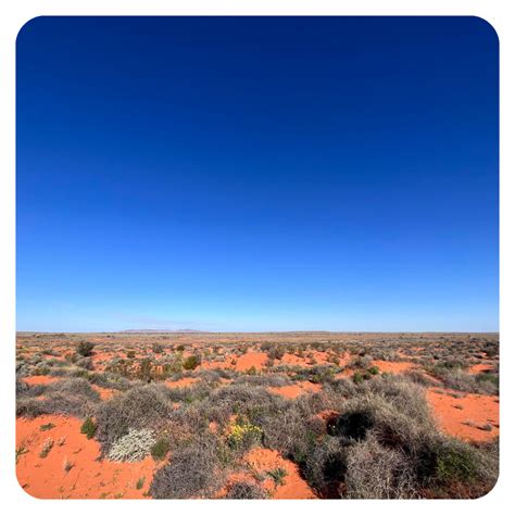 Local First Development 的图像结果