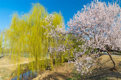 初春北京颐和园景观高清摄影大图-千库网