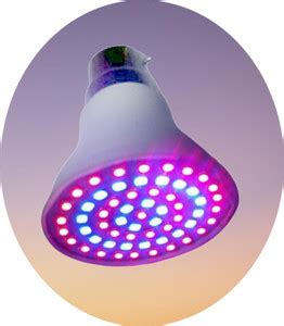 TCS 7W FULL SPECTRUM LED GROW LIGHT BULB AC/220V B22 (PACK OF 1) Light ...