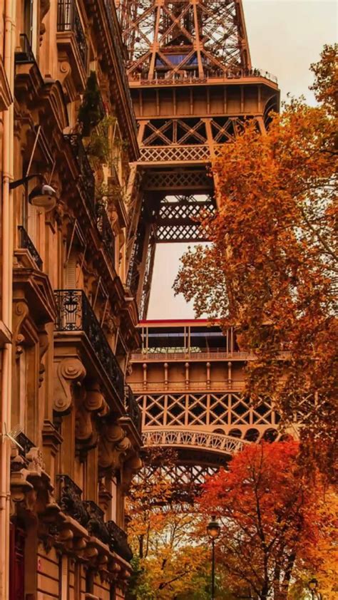 Europe Street 的图像结果