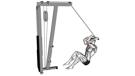 Cable Seated Overhead Curl (SZ Bar) - Exercise Guide & Tips