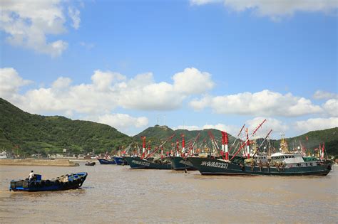 浙江舟山：渔船回港避寒潮