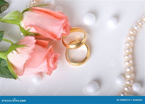 Wedding ring & rose stock image. Image of circle - 24484215