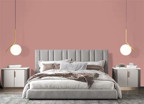 Jaipur Pink | JSW Paints