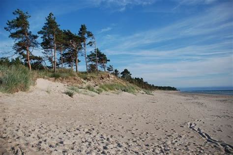 THE BEST Restaurants in Latvia (Updated January 2026) - Tripadvisor