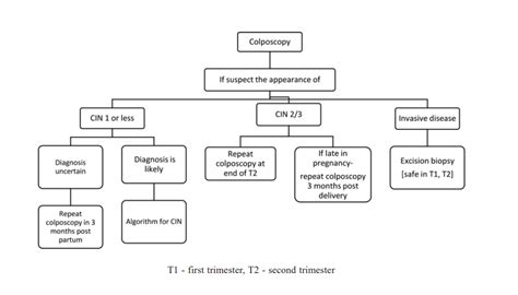 Image result for Cervical Screening Explained