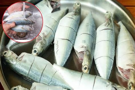 India vs Pakistan: ಬೆಳ್ಳಂ ಬೆಳಗ್ಗೆಯೇ ಅಮೃತಸರದ ವಿವಿಧ ಪ್ರದೇಶಗಳಲ್ಲಿ ಮೊಳಗಿತು ...