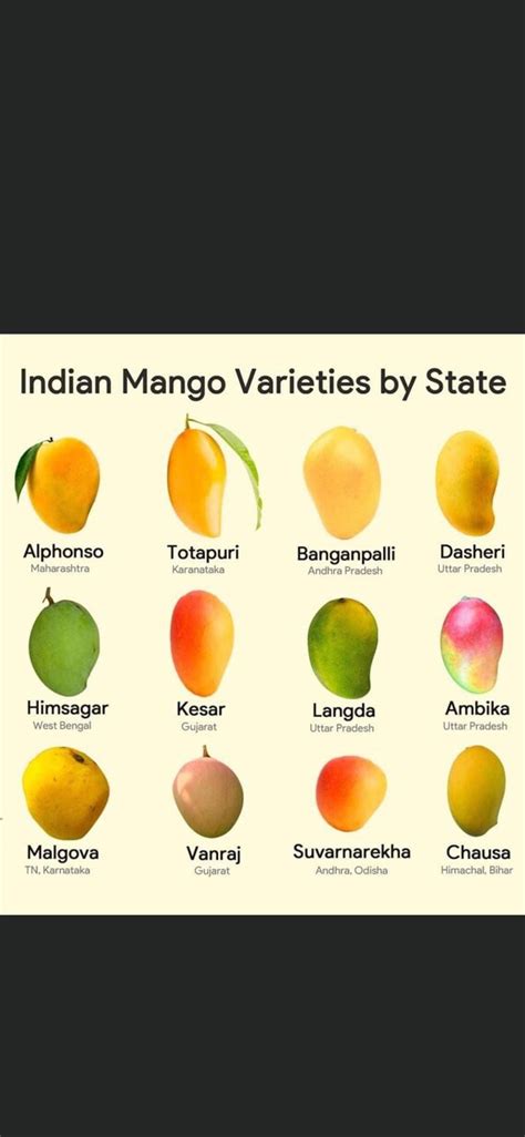Image result for Mango Production Script Script