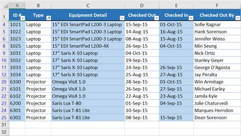 Using Filter in Excel 的图像结果