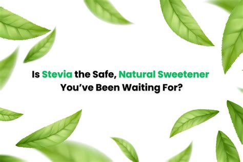 Is Stevia Safe for Regular Consumption? – Sweetmate Main