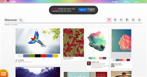 Image result for Color Scheme for Web Design