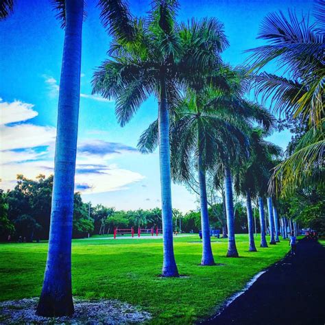 14 Parks in Miami | Holidify