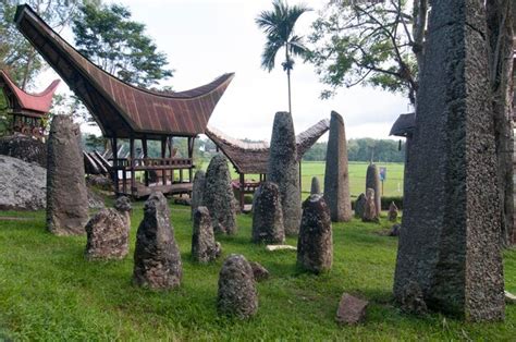 Stone torajan megalithic burial site in bori village | Premium Photo