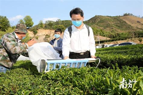 汉代采茶,汉朝人喝什么茶,西汉茶文化_大山谷图库