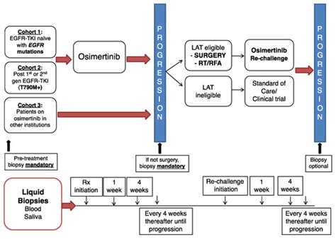 Longitudinal Circulating Tumor DNA Analysis in Blood and Saliva for ...