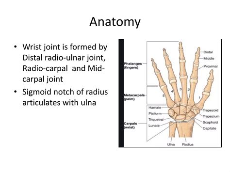 Imaging of wrist joint | PPTX