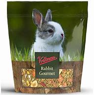 Image result for Holland Lop Rabbit Food